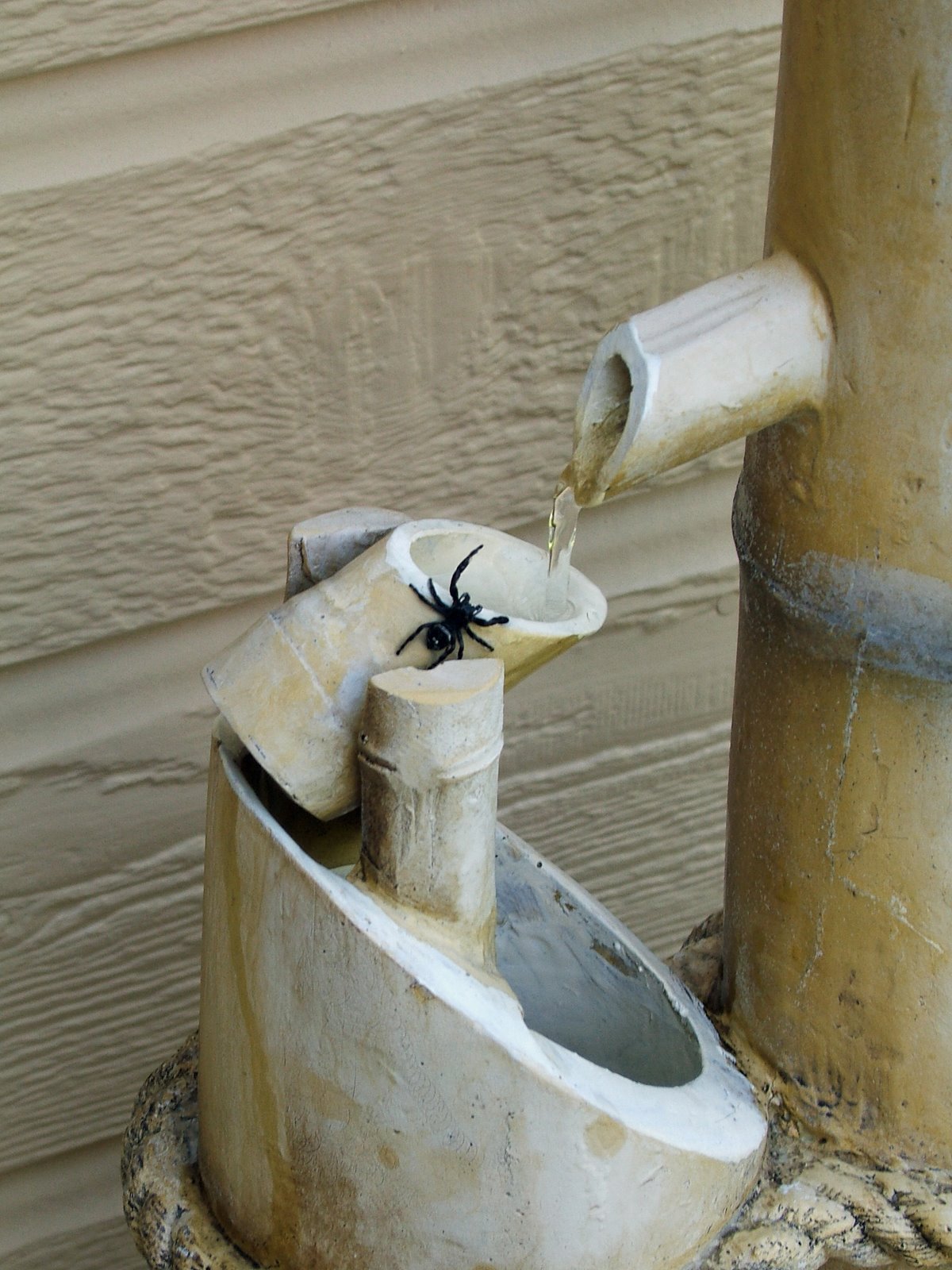 [spider+getting+a+drink.jpg]