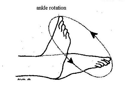 [ankle+rotation.JPG]
