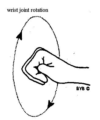 [wrist+joint+rotation.JPG]