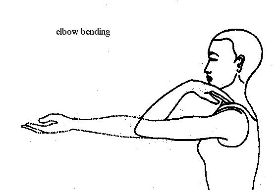 [elbow+bending.JPG]
