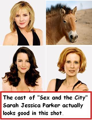 [sex+and+the+city+cast.jpg]