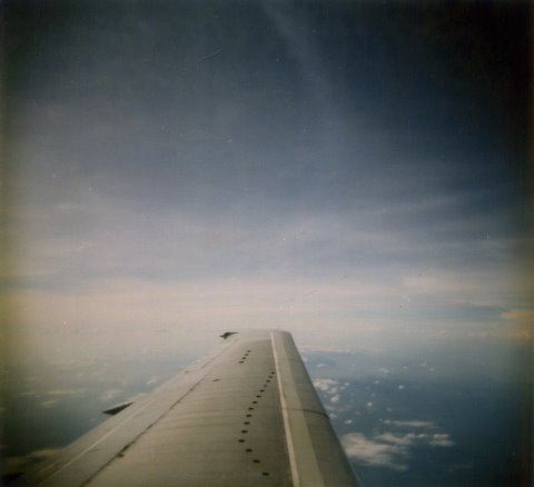 [plane+wing.jpg]