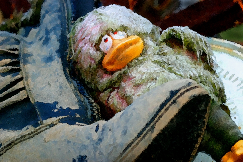 [Duck+and+boots+in+Trashj-567.jpg]