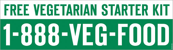 [vegetarian+starter+kit.jpg]