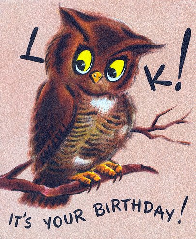 [Look+Its+Your+Birthday+Owl.jpg]