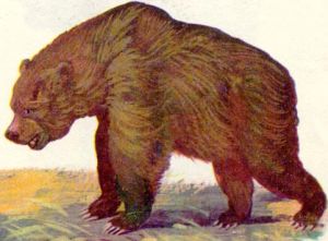 [Prehistoric-People-Exterminated-the-Cave-Bears-2.jpg]