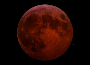 [eclipsa-totala-de-luna-thumb-300-0-192.jpg]