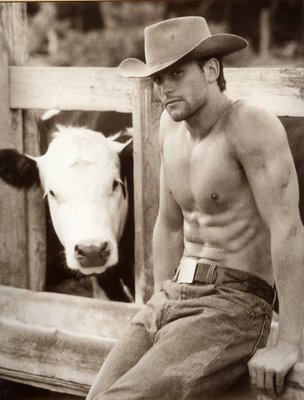 [cowboy+with+cow.jpg]