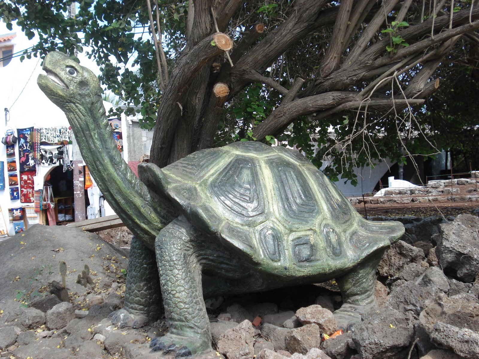 [Giant+Tortoise+statue.JPG]