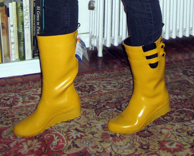 [rain+boots+2.jpg]