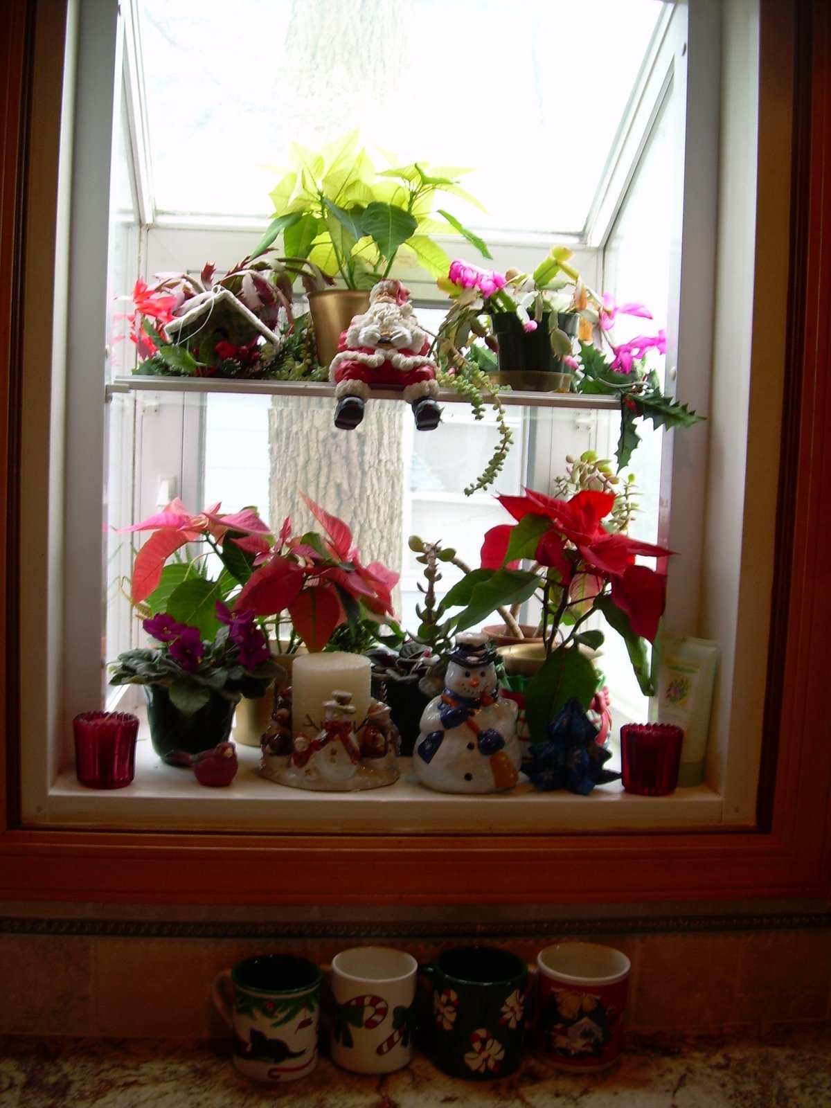 [Christmas+Garden+Window+003.jpg]