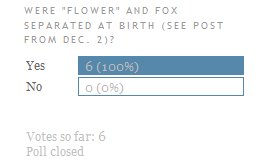[Fox_Flower_poll.bmp]