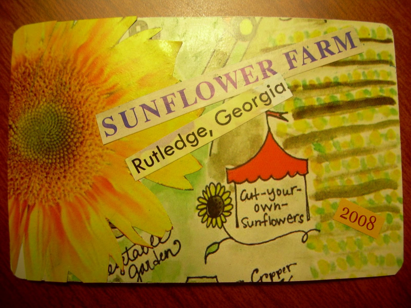 [sunflower+farm.jpg]