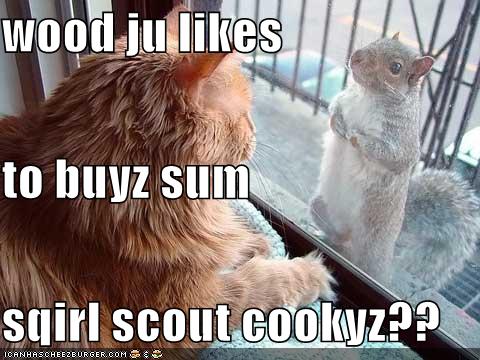 [funny-pictures-girl-scout-cookie-squirrel-sells-to-cat.jpg]