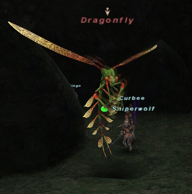 [Dragonfly.JPG]