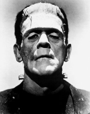 [Frankenstein-headshot-smaller.jpg]