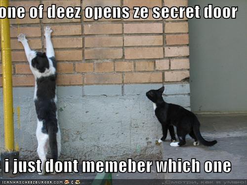 [funny-pictures-secret-door-cats.jpg]