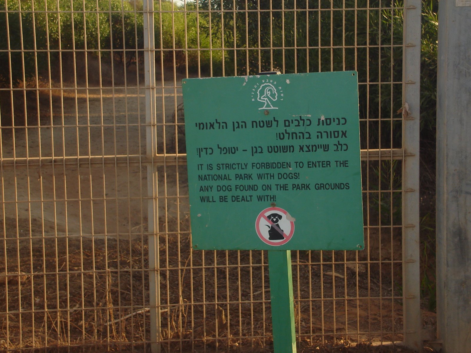 [Anti-dog+sign+in+Israel.JPG]
