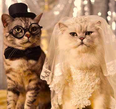 [Uche+and+Dammie+on+their+wedding+day.jpg]