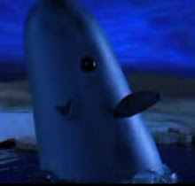 Mr Narwhal