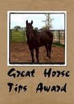 [Great+Horse+Tips+Award.jpeg]
