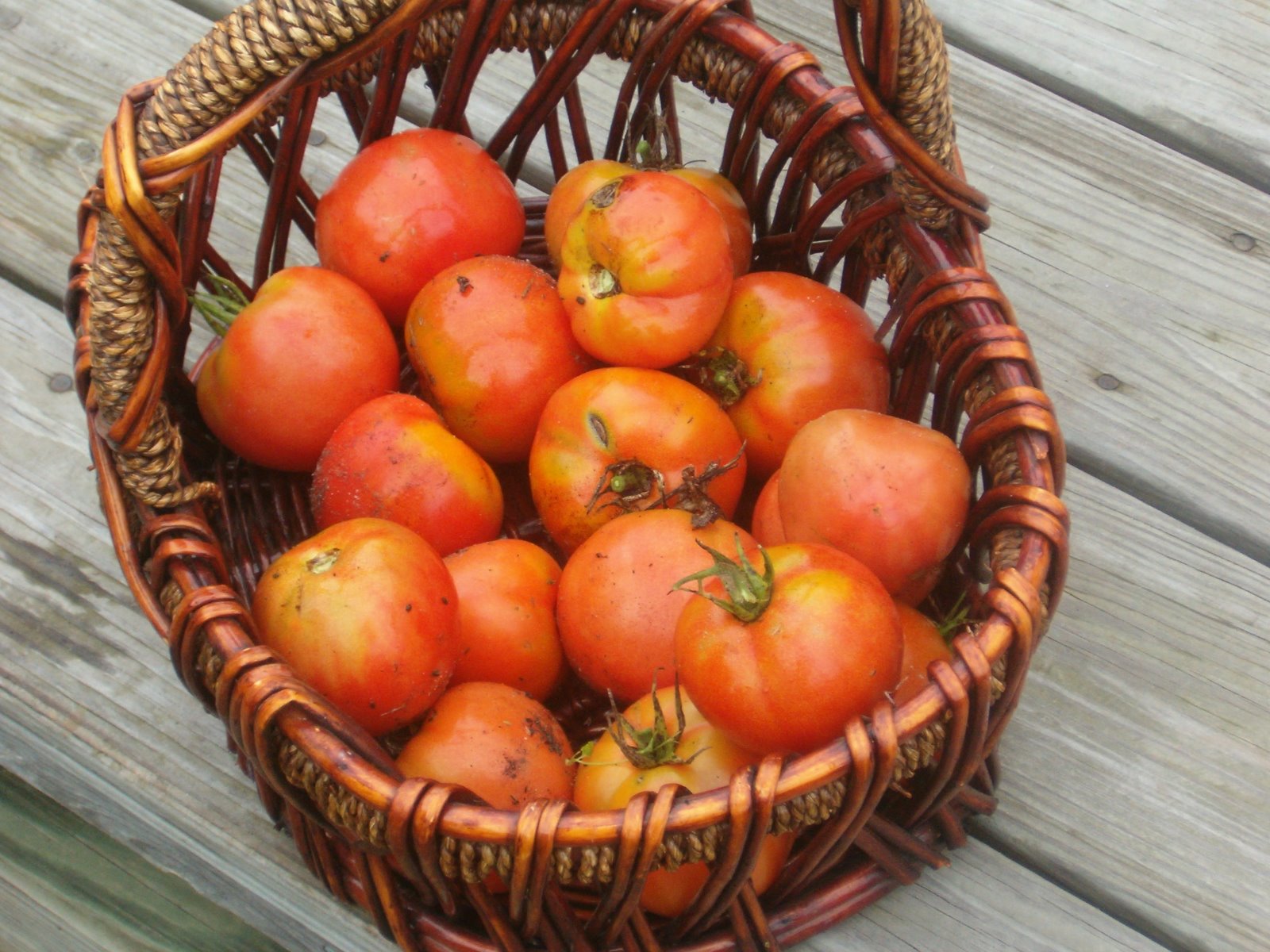[tomato+basket.jpg]