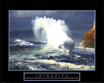 [Integrity-Wave-Print-C10118333.jpg]