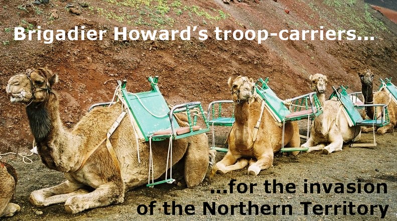 [camel+howard+troop+carriers.jpg]