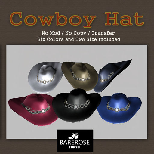 [Cowboy+Hat.jpg]