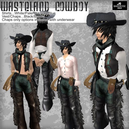 [Wasteland+cowboy.jpg]
