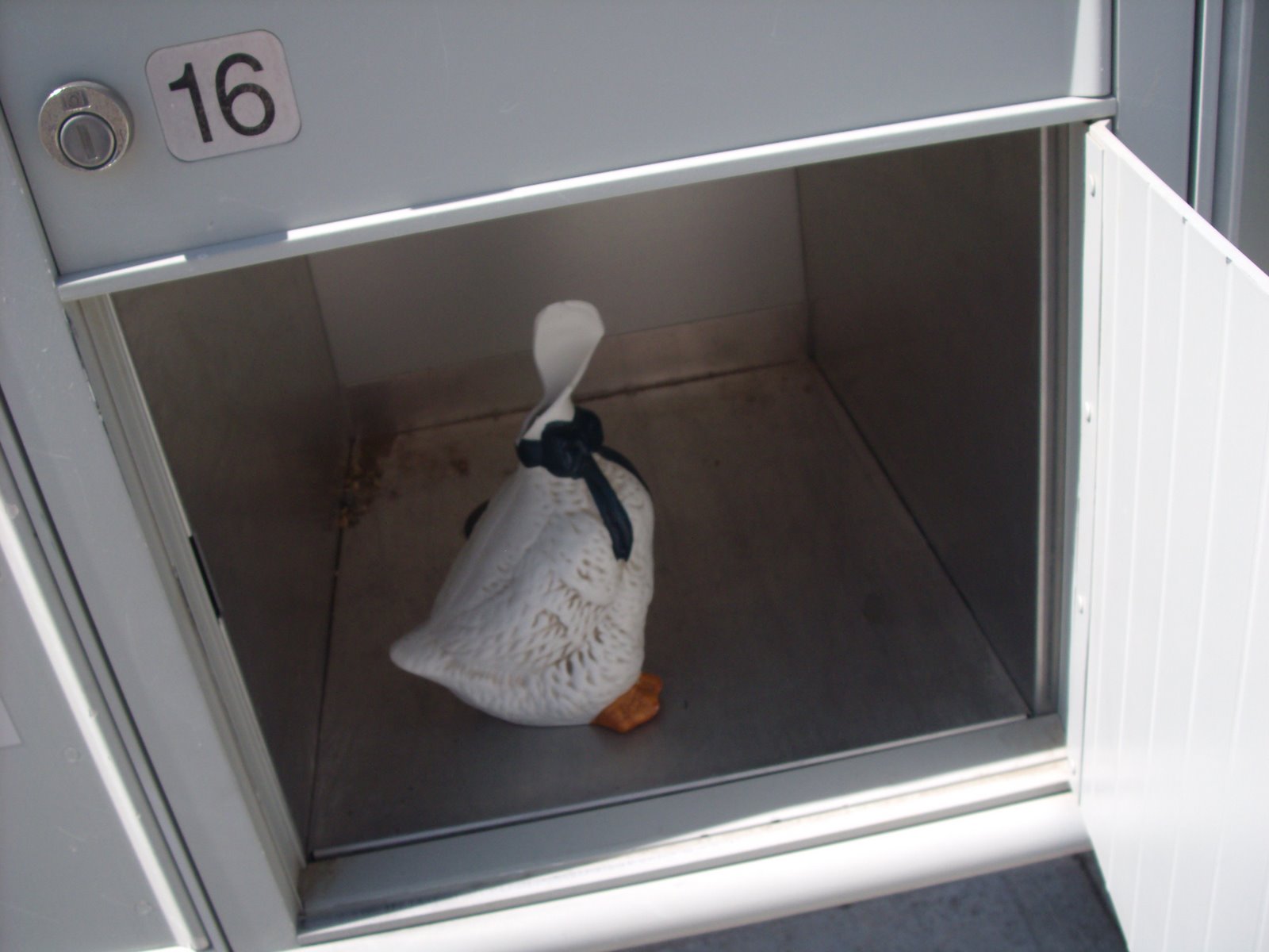 [Broken+Duck+in+Mailbox.jpg]