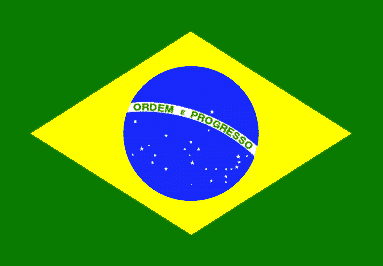 [brazil-flag.gif]