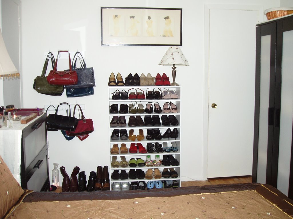 [shoe+shelves.jpg]