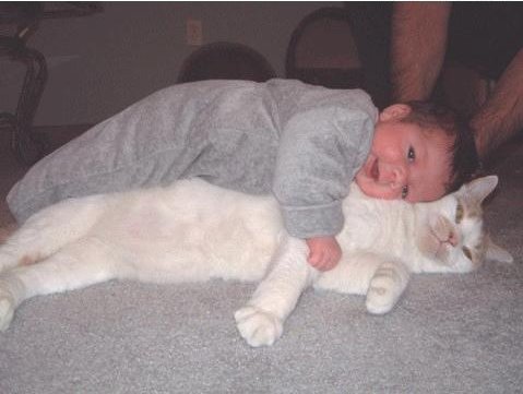 [Baby+and+Cat+-+hugging.jpg]