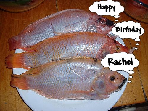 [Happy+Birthday+Rachel.jpg]