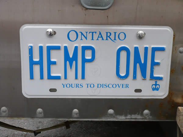 [hemp-one-licence-plate.jpg]