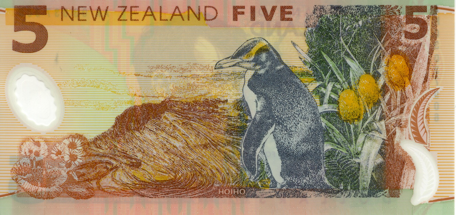 [New-Zealand-Dollar-NZD-5-bank-note-2003-issue-Campbell-Island-Hoiho-penguin-sub-antarctic-lily-bull-kelp-Pleurophyllum-speciosum-back-KAR.jpg]