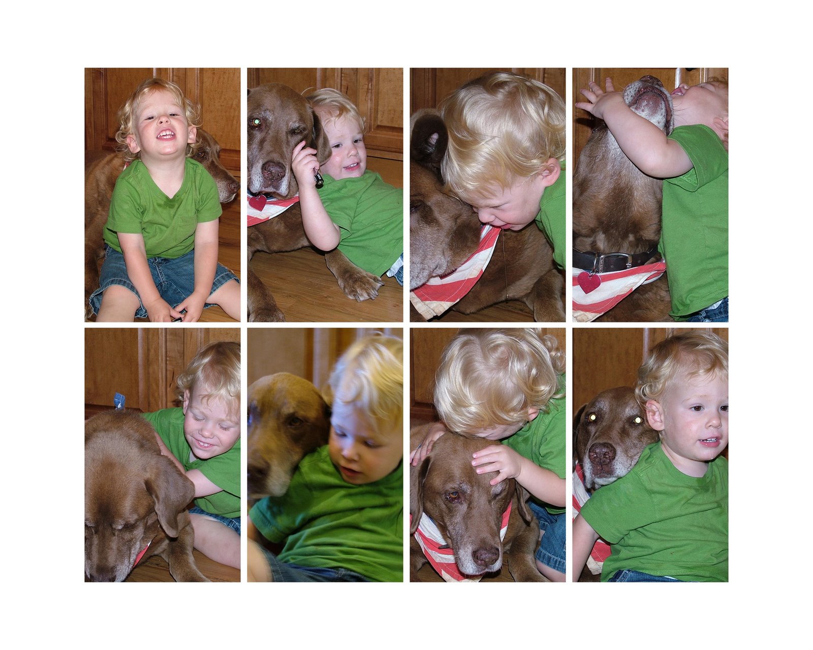 [Collage1+TREY+and+DIGGER.jpg]