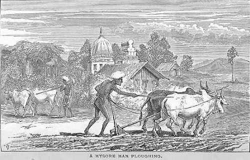 [Mysore+man+ploughing.jpg]