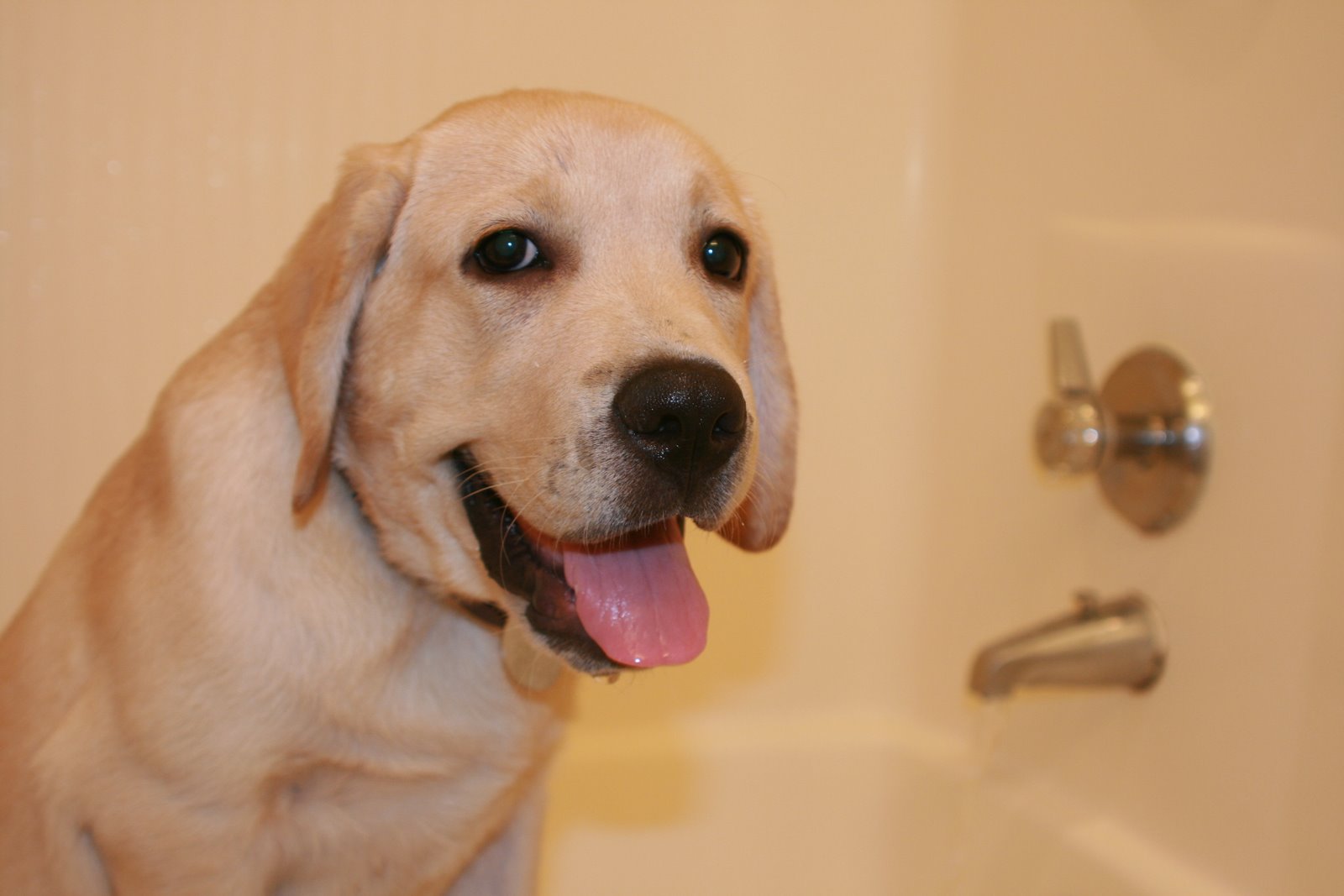 [coopers+second+bath+time+-+it's+funtime.JPG]