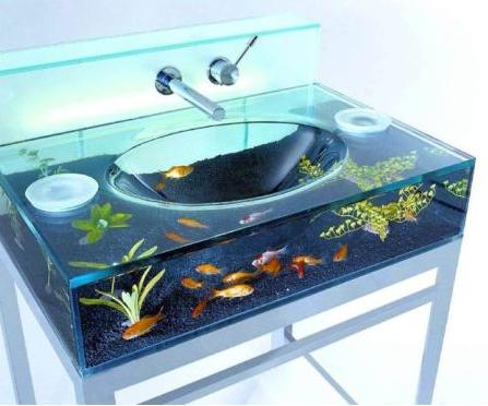 [Sink+Fish+Tank.jpg]