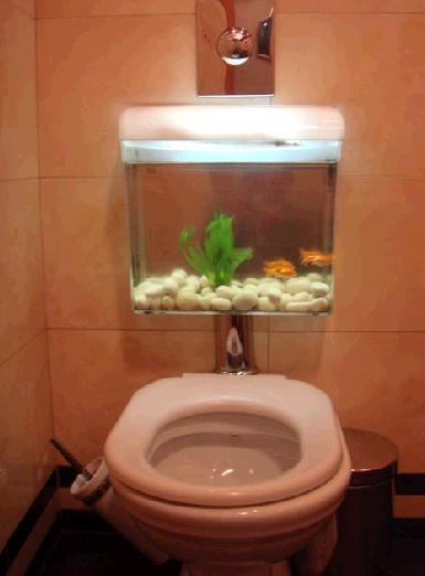 [Toilet+Bow+fish+Tank+2.jpg]