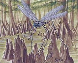 [Swamp+Mosquito+1.jpg]