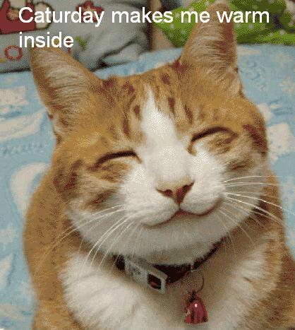 [caturday+makes+me+warm.jpg]