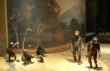 [3hominids-with-apes.jpg]