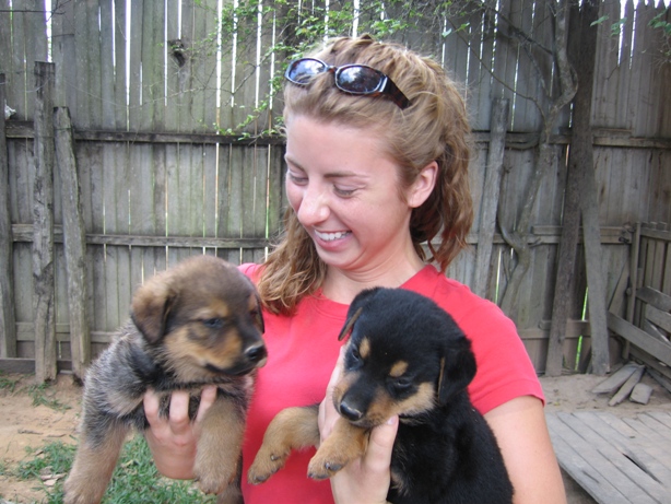 [carly+with+puppies.jpg]