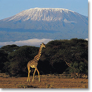 [Kilimanjaro_Climb_image.jpg.gif]
