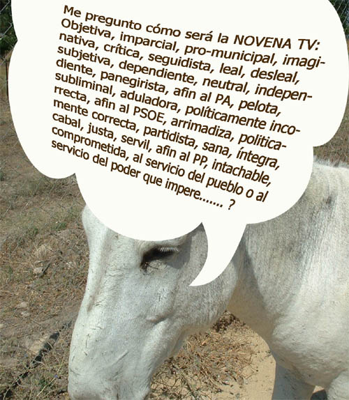 [TV+Novena+TV.jpg]