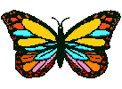 [butterfly3.gif]