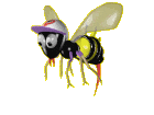 [abeille-gif-002.gif]
